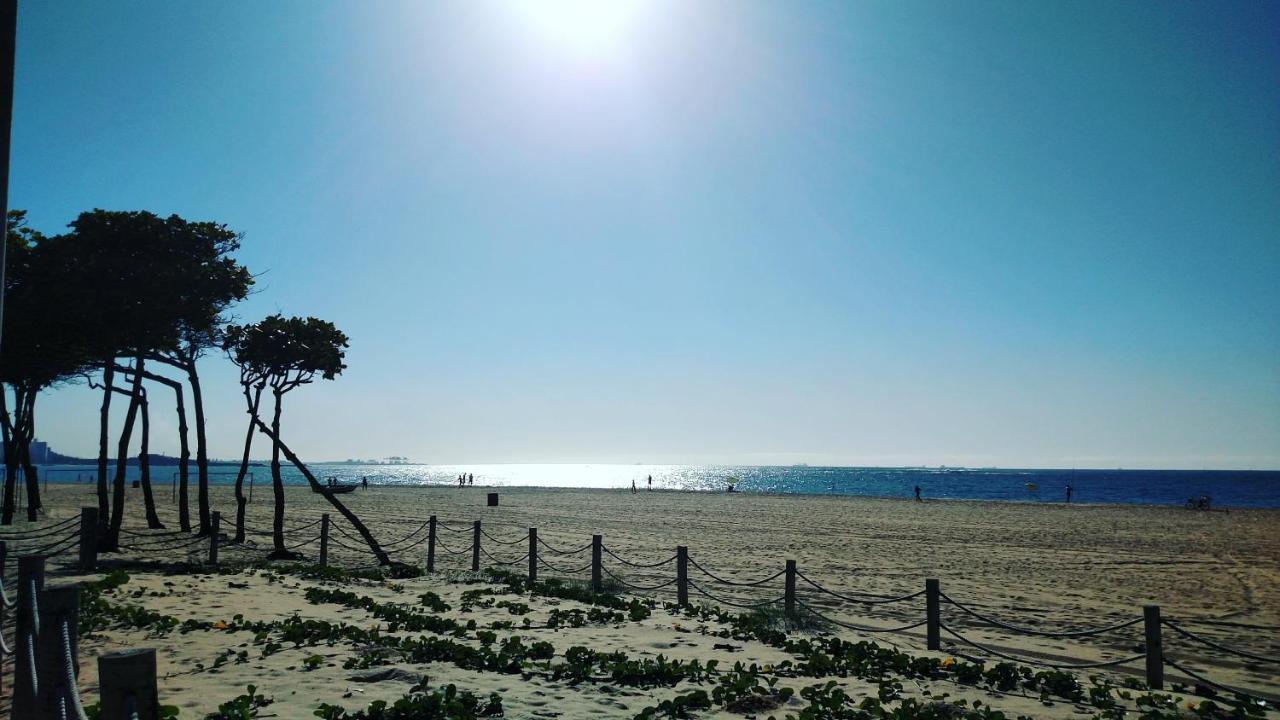 Flat Pasargada 812, Free Bikes, Pe Na Praia Vila Velha  Eksteriør bilde